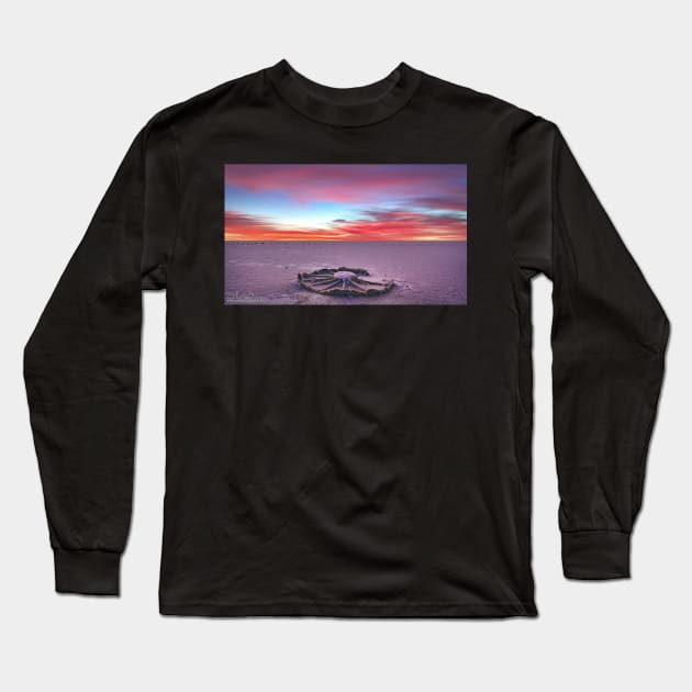 Salt and Light III Long Sleeve T-Shirt by lordveritas